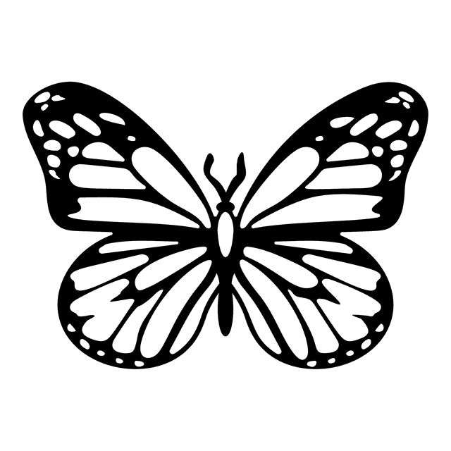 Organische vlinder 30 cm, zwart